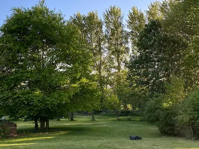 Landschaft