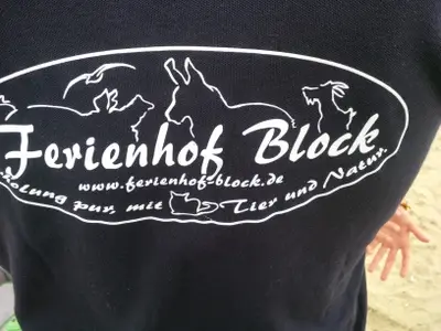 Ferienwohnung für 4 Personen (70 m²) in Brodersby (Schwansen) 10/10