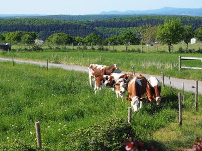 Aussicht_2 Aussicht_2