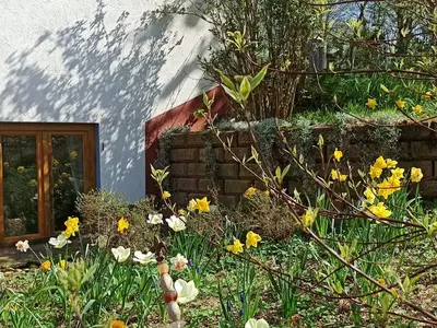 Ferienwohnung für 4 Personen (49 m²) in Brombachtal 10/10