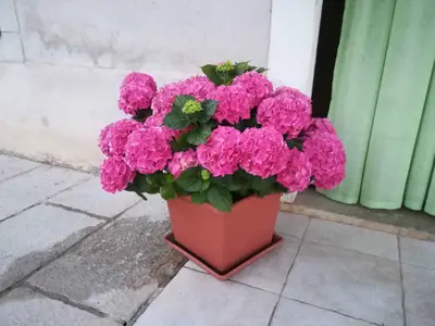 Ferienwohnung für 4 Personen (45 m²) in Brseč 8/10