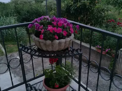 Ferienwohnung für 4 Personen (45 m²) in Brseč 10/10