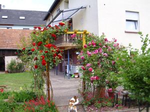 Ferienwohnung für 4 Personen (76 m&sup2;) in Bruchweiler-Bärenbach