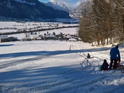 Zillertal_Bruck_holiday-home.tirol_Wiese_Rodeln_Wi