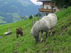 23842890-Ferienwohnung-5-Bruck an der Glocknerstraße-300x225-2