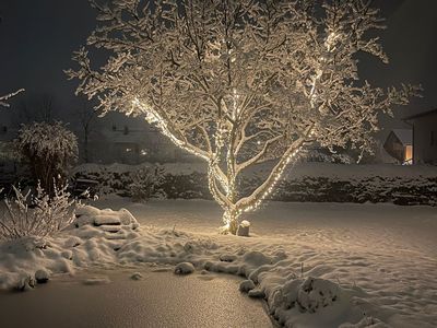 Wintertime in unserem Garten