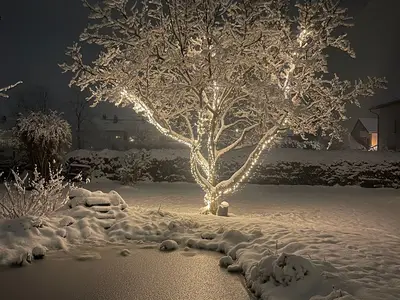 Wintertime in unserem Garten