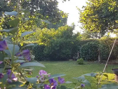 Im Garten