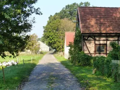 Ferienwohnung für 6 Personen (105 m²) in Bugewitz 8/10