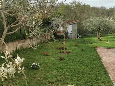 Ferienwohnung für 5 Personen in Buje 7/10