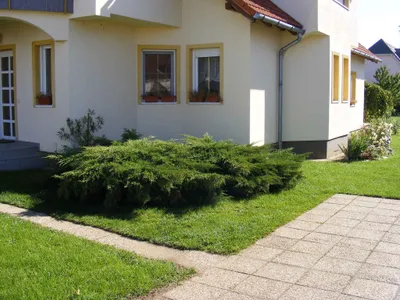 Ferienwohnung für 6 Personen (90 m²) in Bük 5/10