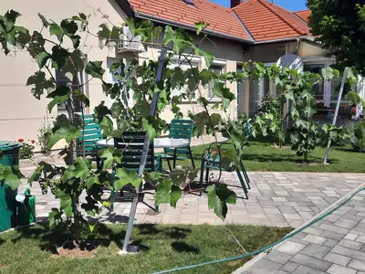 Ferienwohnung für 2 Personen (33 m²) in Bük 10/10