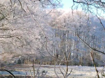 Ferienwohnung für 5 Personen (60 m²) in Bülstedt 3/10