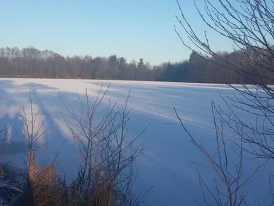 Ferienwohnung für 5 Personen (60 m²) in Bülstedt 1/10