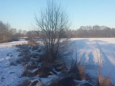 Ferienwohnung für 5 Personen (60 m²) in Bülstedt 2/10