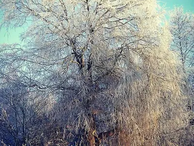 Ferienwohnung für 5 Personen (60 m²) in Bülstedt 4/10
