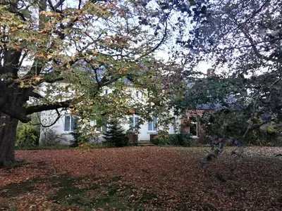 Ferienwohnung für 5 Personen (60 m²) in Bunde 5/10