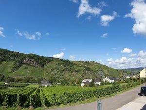 18286358-Ferienwohnung-3-Burg (Mosel)-300x225-3