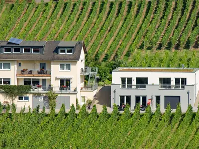 Weingut inmitten der Weinberge