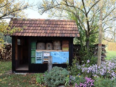 Ferienwohnung für 2 Personen (38 m²) in Burg (Spreewald) 5/10