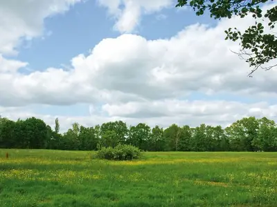 Ferienwohnung für 4 Personen (50 m²) in Burg (Spreewald) 7/10