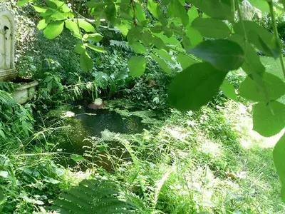 Ferienwohnung für 3 Personen (63 m²) in Burg (Spreewald) 8/10