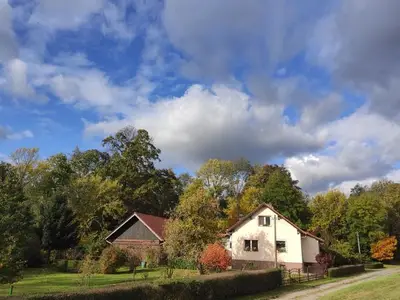 Ferienwohnung für 3 Personen (45 m²) in Burg (Spreewald) 5/10