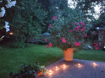 Ferienwohnung für 3 Personen (45 m²) in Burg (Spreewald) 8/10