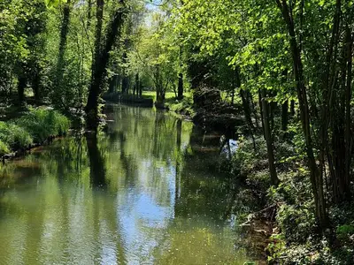 Ferienwohnung für 4 Personen (75 m²) in Burg (Spreewald) 10/10