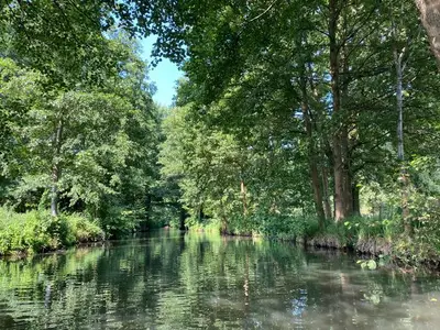 Ferienwohnung für 6 Personen (80 m²) in Burg (Spreewald) 9/10