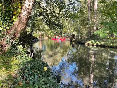 Ferienwohnung für 4 Personen (64 m²) in Burg (Spreewald) 4/10