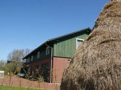 Ferienwohnung für 3 Personen (55 m²) in Burg (Spreewald) 9/10