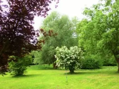 Ferienwohnung für 6 Personen (85 m²) in Burg (Spreewald) 3/10