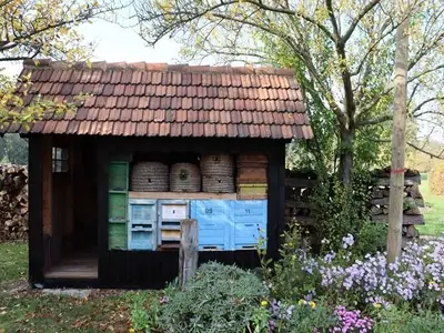 Ferienwohnung für 2 Personen (90 m²) in Burg (Spreewald) 5/10
