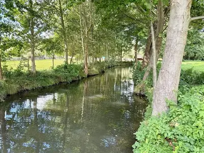 Ferienwohnung für 4 Personen (72 m²) in Burg (Spreewald) 3/10