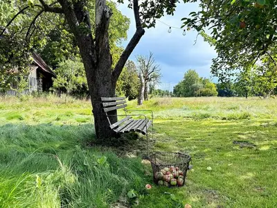 Ferienwohnung für 4 Personen (72 m²) in Burg (Spreewald) 4/10