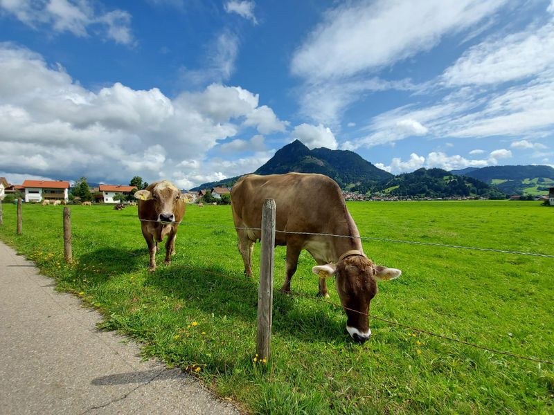 23574246-Ferienwohnung-5-Burgberg im Allgäu-800x600-0