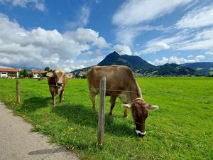 Ferienwohnung für 5 Personen (84 m&sup2;) in Burgberg im Allgäu