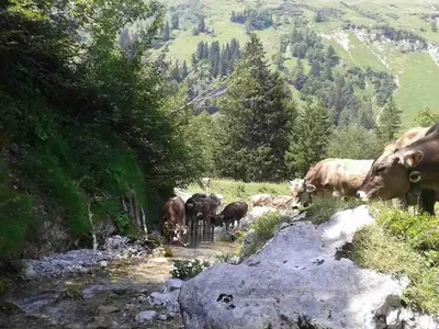 Ferienwohnung für 4 Personen (51 m²) in Burgberg im Allgäu 10/10
