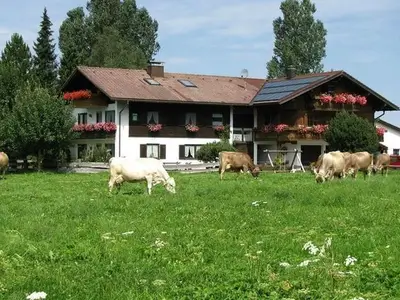Ferienwohnung für 4 Personen (52 m²) in Burgberg im Allgäu 1/10