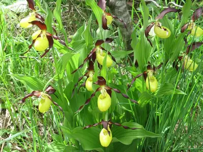 Ferienwohnung für 3 Personen (43 m²) in Burgberg im Allgäu 10/10