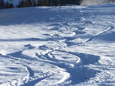 2 Spuren im Schnee...