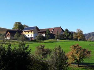 Ferienwohnung für 6 Personen (70 m²) in Burgdorf (Bern)
