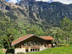 Ferienwohnung für 4 Personen (75 m²) in Burglauenen