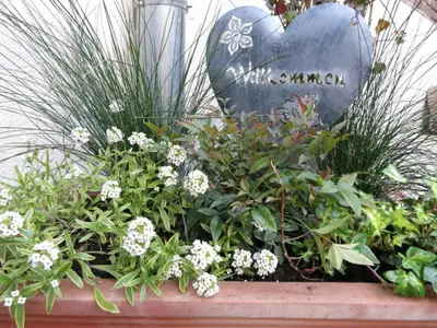 Blumen im Innenhof GH Auszeit