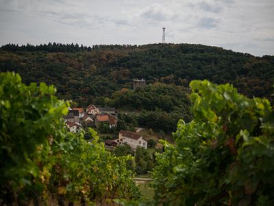 Blick auf die Burg von den Weinbergen