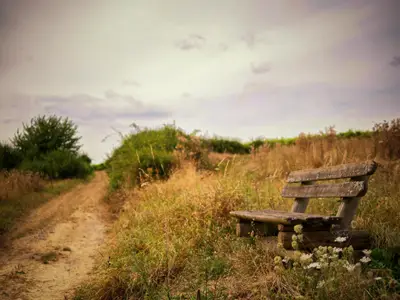 Ruhebank Burgsponheimer Grafenrunde Ruhebank Burgsponheimer Grafenrunde