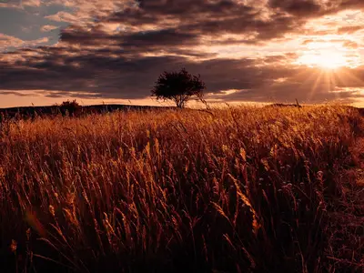Abendstimmung Abendstimmung