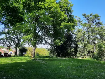 Aussichtsplatz an der Burg Aussichtsplatz an der Burg