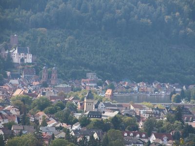 Blick zur Mildenburg und Main
